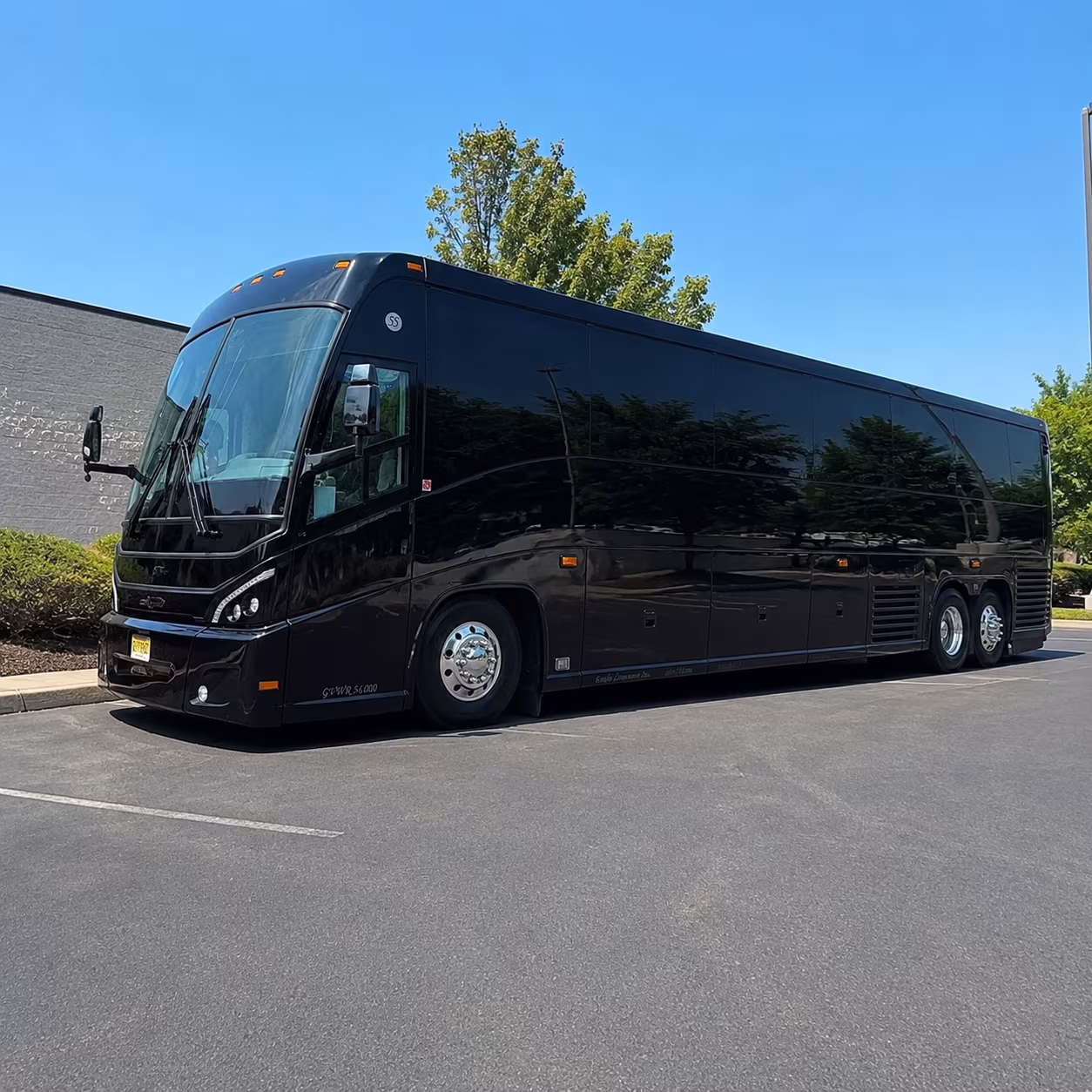chateau ste michelle summer concert series bus rentals from shoreline